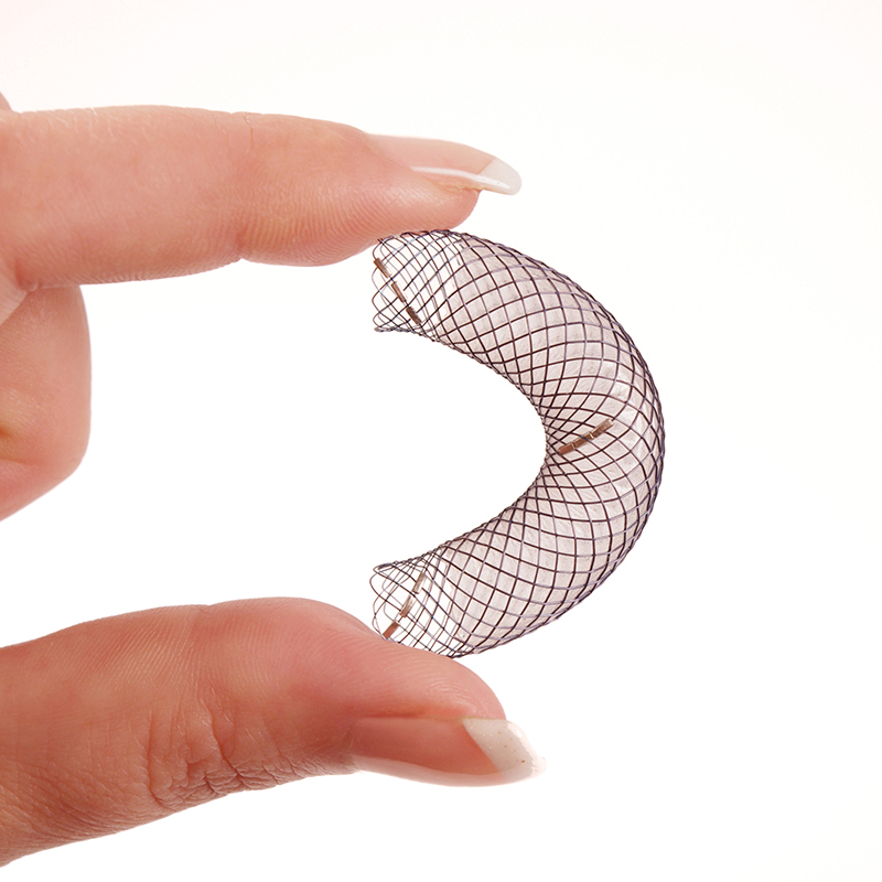Fully Covered Stent